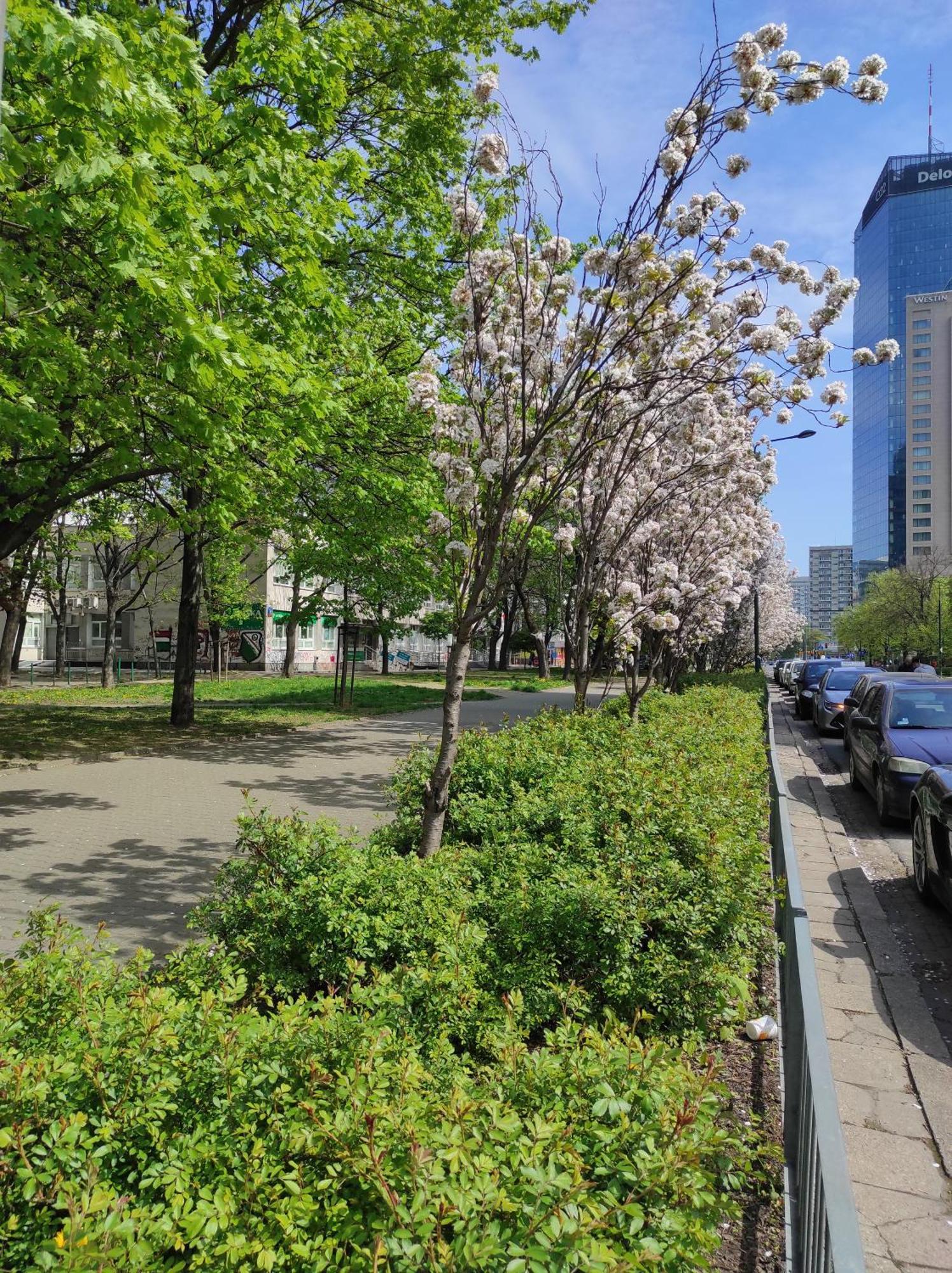 Bosa Warsaw Centrum Apartment Grzybowska39 מראה חיצוני תמונה